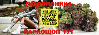 шишки Краснодар