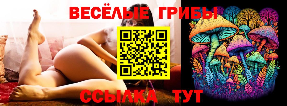 Галлюциногенные грибы MAGIC MUSHROOMS  Галлюциногенные грибы Magic Shrooms  Донецк  Вход с VPN 